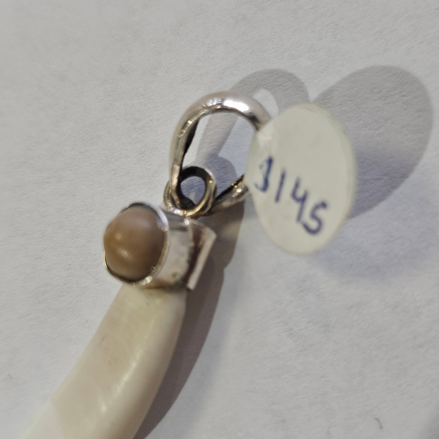 Dije Charm Colmillo con Bolita